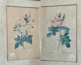 (2) Pierre-Joseph Redouté Prints
