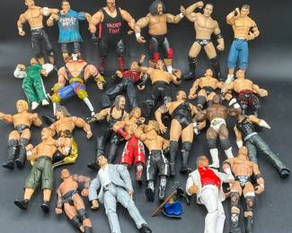 Wrestling Action Figures