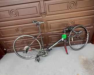 Raleigh Bike