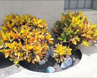 Foliage and yard art.