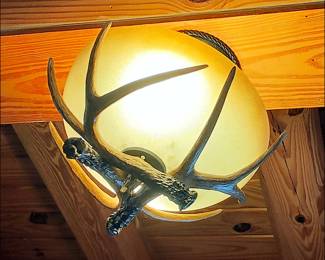 Antler Light Fixture