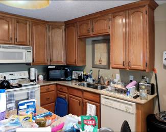 Guest House Kitchen -- Includes Cabinets, Dishwasher, Dropin Stove, Microwave