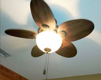 Ceiling Fan. There are many of this style.
