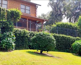 Trees, Plants and Metal Fencing. There is quite a bit of metal fencing.