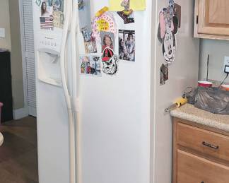 Guest House Refrigerator (Oldie but goodie)