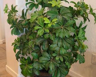 Silk Plant In Black Pot