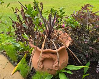 (57) Pot w/Plant $65