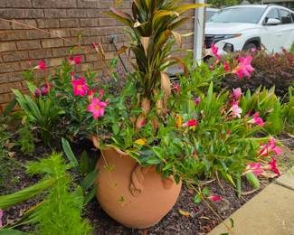 (56) Pot w/Blooming Flowers $85