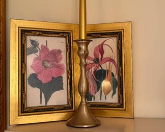 Botanicals