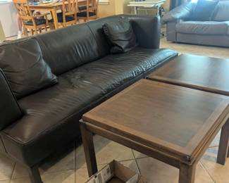 Furniture Brown Couch