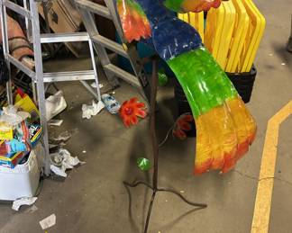 Colorful parrot
