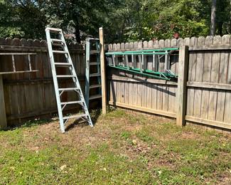 Ladders in back yard