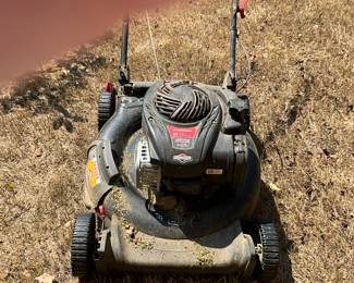 Storage shed in back yard - push mower