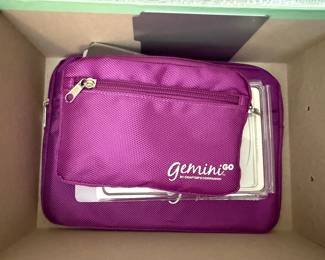 Gemini Go