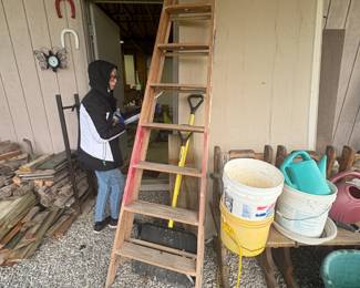 . . . wood ladder