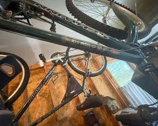 . . . "Frontier" models