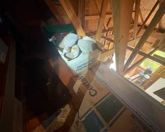 . . . good attic finds