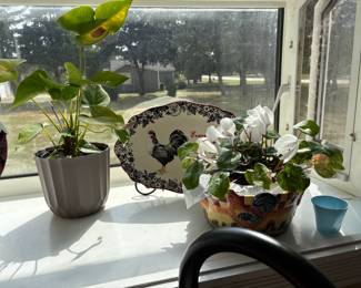 . . . platter and live plants