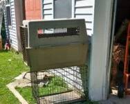 a pair of dog kennels
