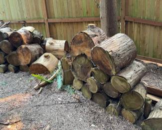 Wood Rounds Firewood