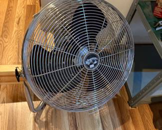 Fans