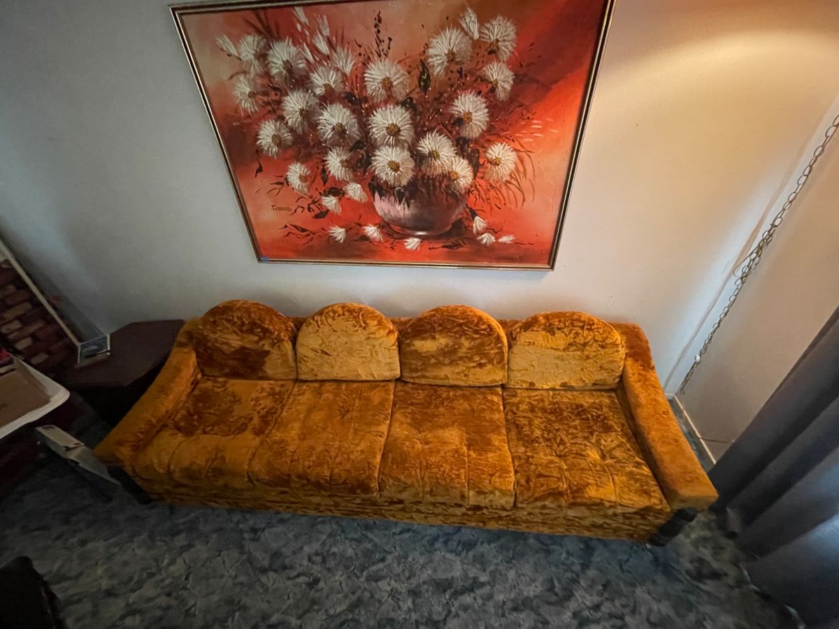 MCM Crushed velvet couch