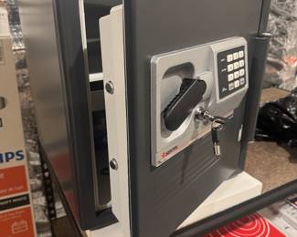 Sentry AM-669946 Safe