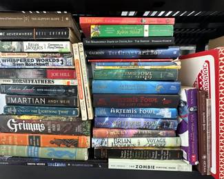 $45 - Lot of Assorted Fiction