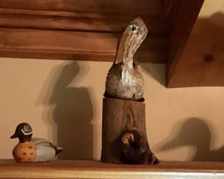 More ducks