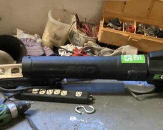 Ego 430 CFM Cordless Leaf Blower