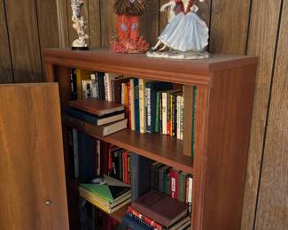 Bookcase, books