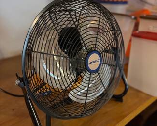Fan