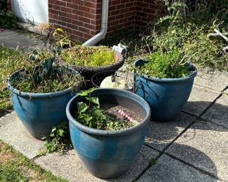 Planters 