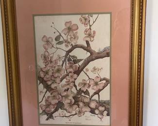 Branches of Dogwood print by Haynes