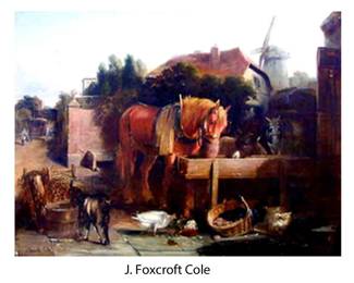 fox cole