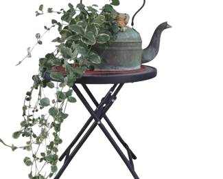 Antique Copper Kettle Planter