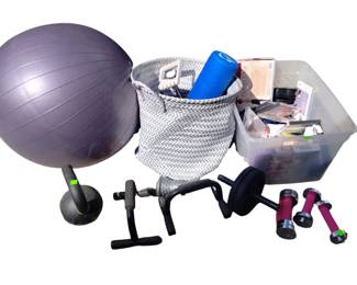 Fitness Ball Hand Weights Workout Media Yoga