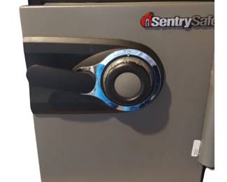 SentrySafe SAFE MSW3110 Fire & Water Proof Combination Lock