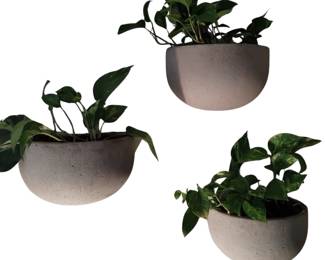 Wall Plant Décor Concrete Planters Brutalist Contemporary Style