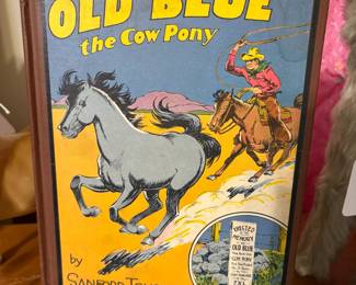 Fun reading for your little cowboy.