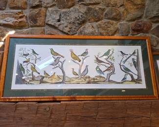 antique bird print, an engraving, titled "Histoire Naturelle" 