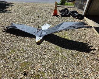 Flying bird with motor.