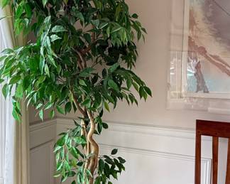 Faux Ficus Tree