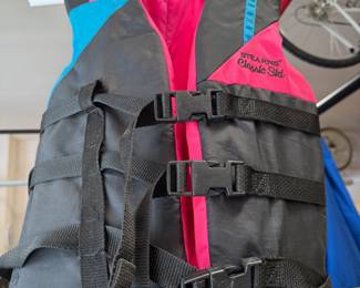 Stearns Classic Ski Vest