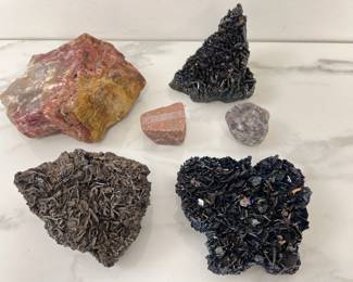 Lot 7713 Natural Curiosities  Gemmy Moissanite  Petrified Wood  More