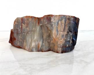 Lot 7691 Large Petrified Wood  Natural Curiosity