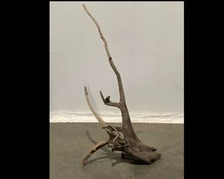 Lot 7748 Driftwood Piece Natural Curiosity