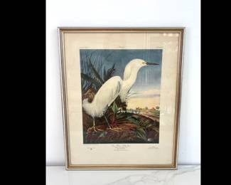 Lot 7646 Vintage Audubon Snowy Heron or White Egret Wall Art Print