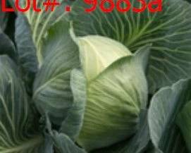9883a result
