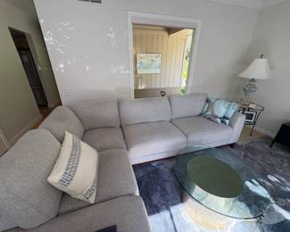 Couch and coffee table